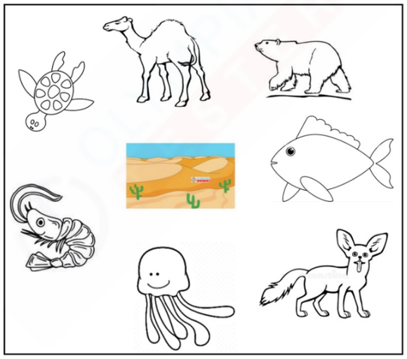 A free kindergarten worksheet featuring cartoonish animals in a Sahara desert scene. Connect the animals to their habitat and color them in. Fun and educational activity for young learners.