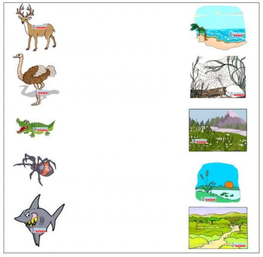 Match animals to their habitats - reindeer, ostrich, alligator, spider, and shark. Free kindergarten worksheet