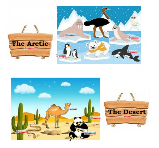 free kindergarten worksheet showing Arctic animals, desert animals, polar bears, penguins, camels, snakes.