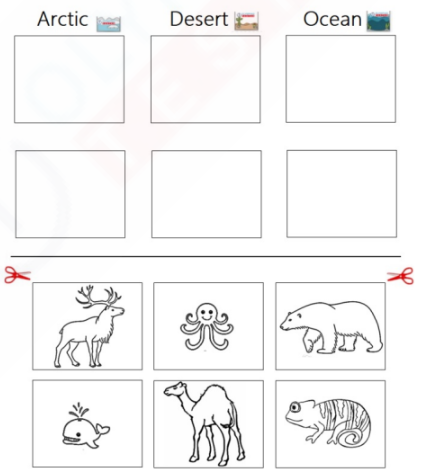 A worksheet with pictures of animals including reindeer, polar bears, octopuses, whales, desert lizards, and camels, cut out and pasted into the correct habitats of the arctic, desert, and ocean.