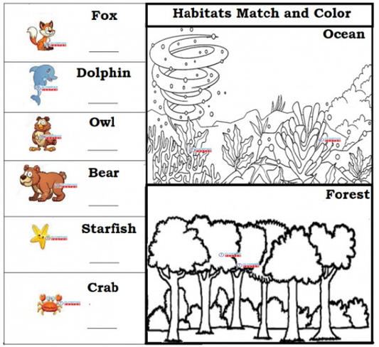 Free kindergarten worksheet: Match animals like Fox, Dolphin, Bear to their habitats - Forest or Ocean. Learn about unique habitats and cute creatures
