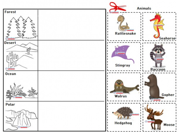 Kindergarteners sorting animals by habitat: ocean, polar, forest, and desert