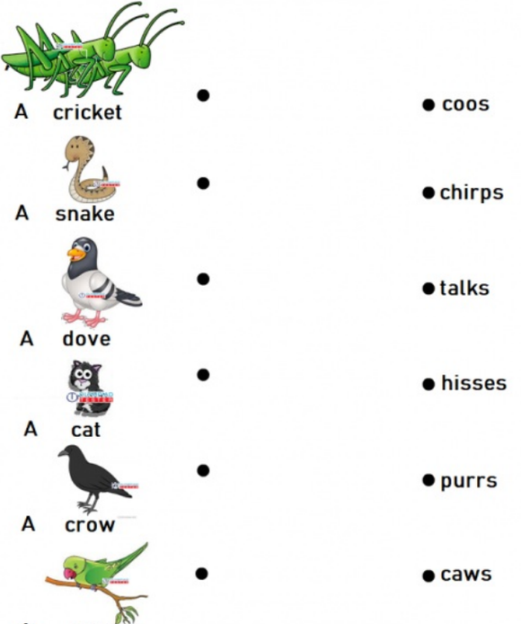 Match animal sounds: Cricket, Snake, Dove, Cat, Crow, Parrot. Free Kindergarten Worksheet.