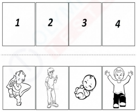 A sequence of four pictures showing a baby growing up from a newborn to a big boy.