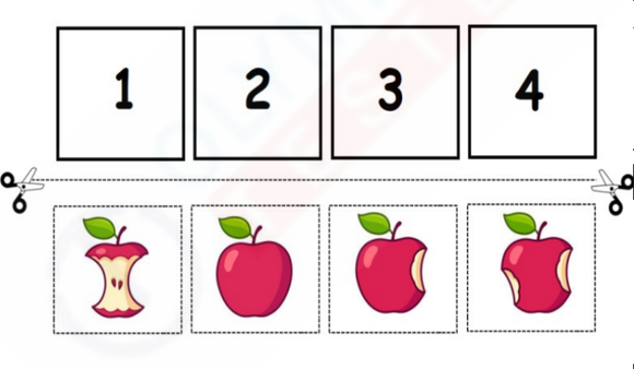 Free Kindergarten sequencing worksheet with pictures of bitten apples in four stages. Cut and paste in the correct order from full apple to core with seeds left.