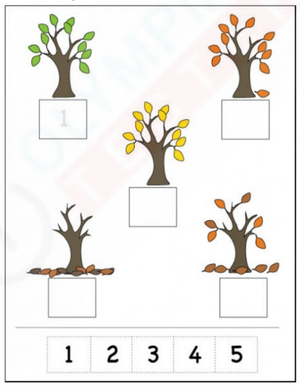 Sequencing Worksheet for Kindergarten: Tree Leaves Changing Colors