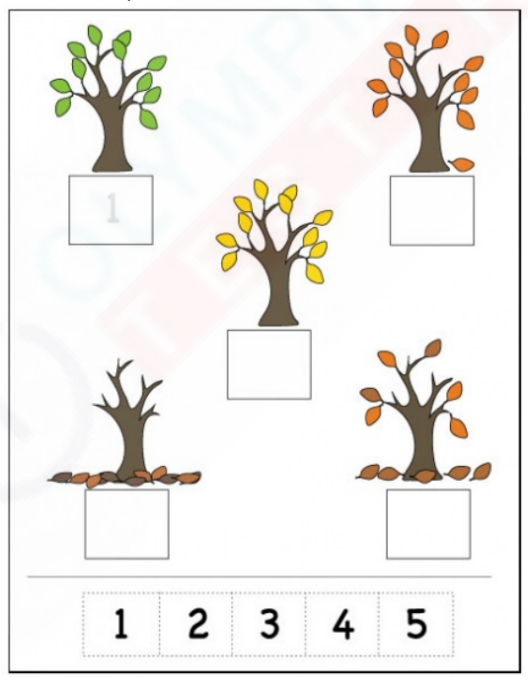 Free Kindergarten Worksheet: Sequencing Trees with Numbers