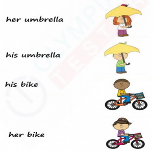 His or Her? Sight Words Reading Worksheet for Kindergarten