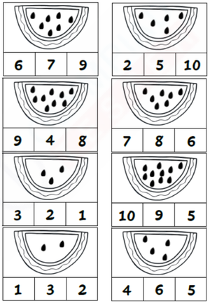 Watermelon Seed Counting