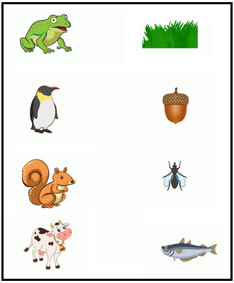Download this free kindergarten and preschool worksheet on animals . This worksheet for kindergarten and preschool focuses on what  do animals eat. This will be helpful for LKG, UKG and Montessori kids.