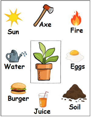 Free Kindergarten worksheets - Plants 01