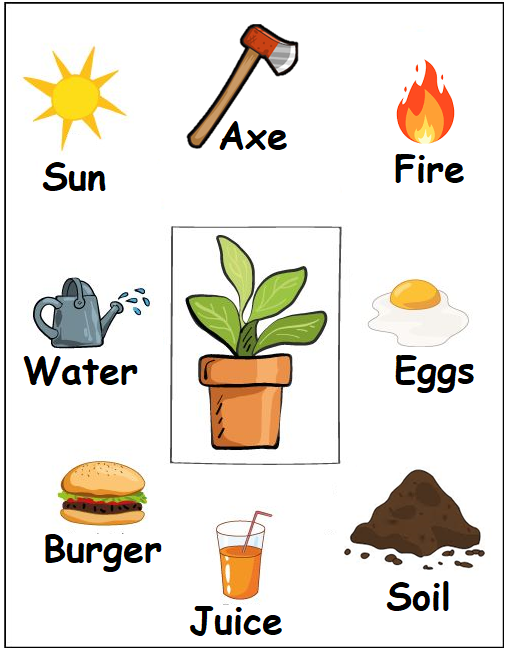 Download this free kindergarten worksheet on Plants. This Kindergarten worksheet focuses on what plants need to grow. This PDF kindergarten worksheet is printable.