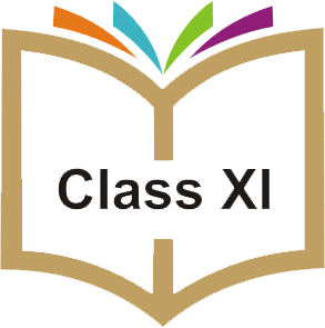 Class 11 - Olympiad exam preparation - Olympiad tester