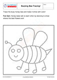 kindergarten bee tracing worksheet