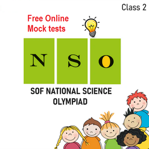 NSO Online mock tests for Class 2