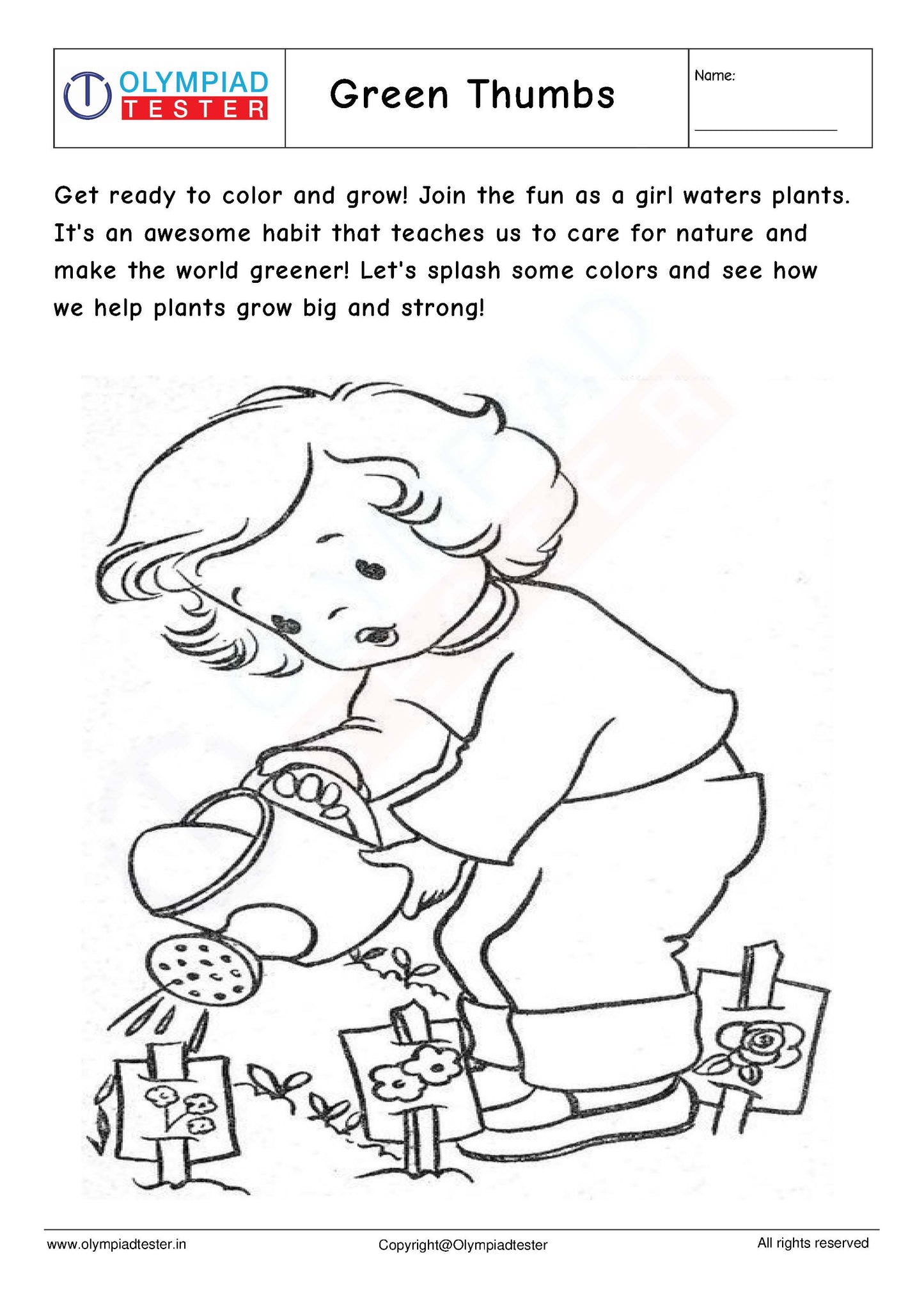 Kindergarten EVS - PDF Worksheet 21