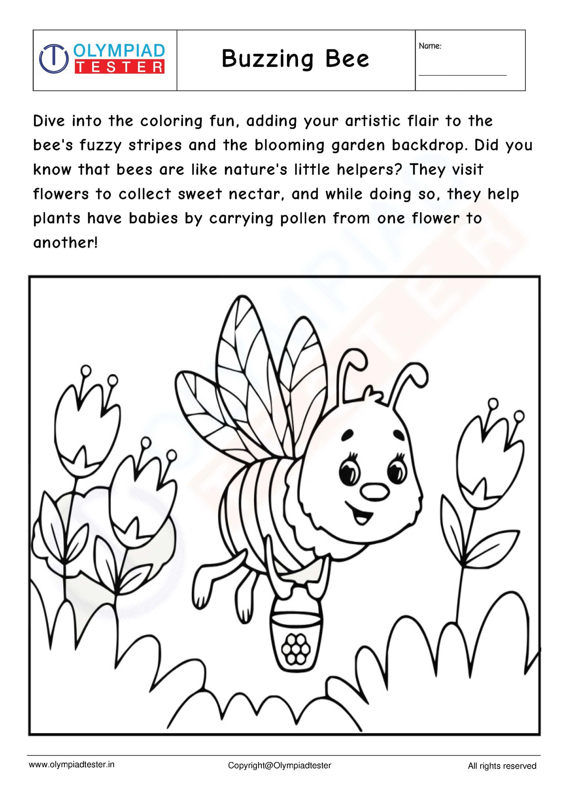 Kindergarten EVS - PDF Worksheet 01