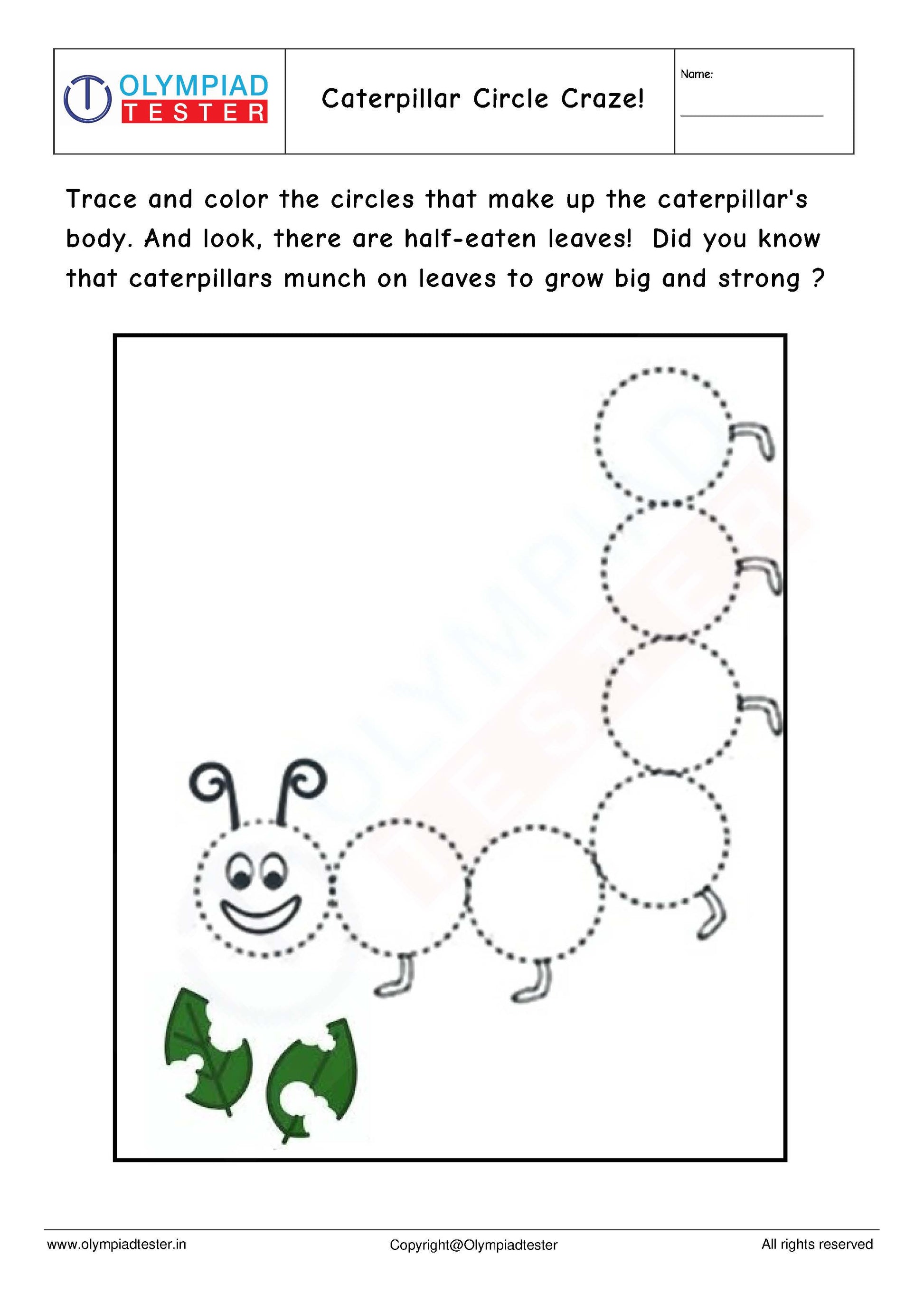 Kindergarten EVS - PDF Worksheet 02