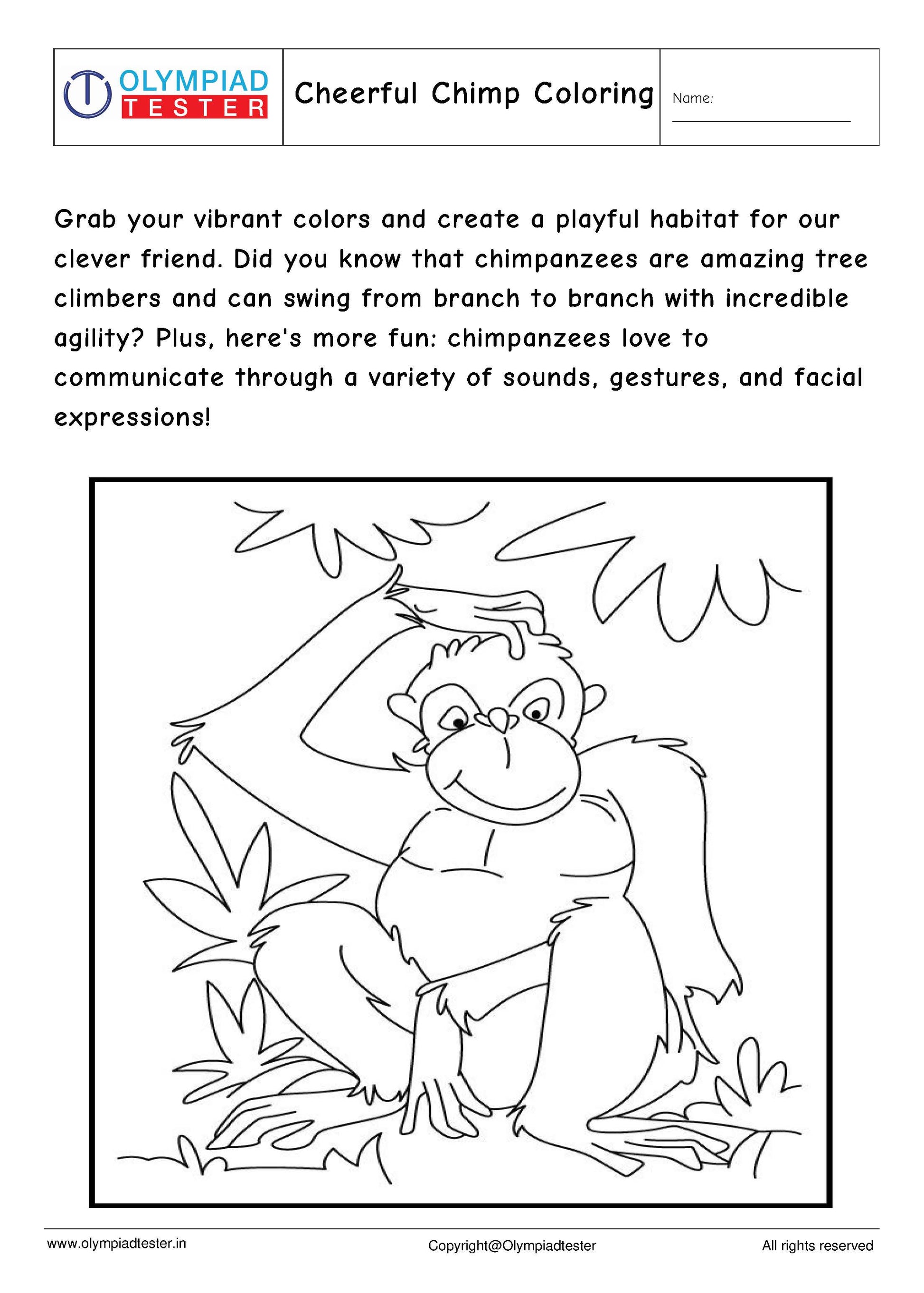 Kindergarten EVS - PDF Worksheet 03