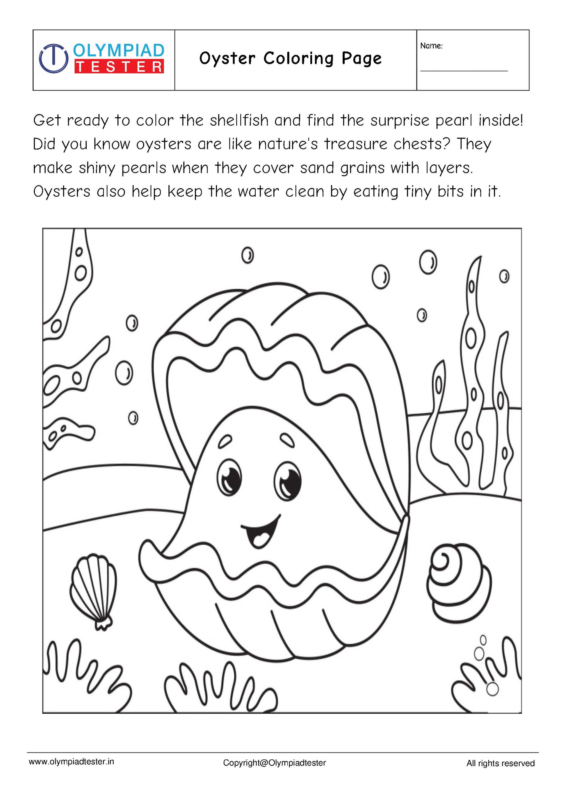Kindergarten EVS - PDF Worksheet 05