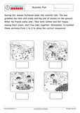 Kindergarten Logical Reasoning - PDF Worksheet 13