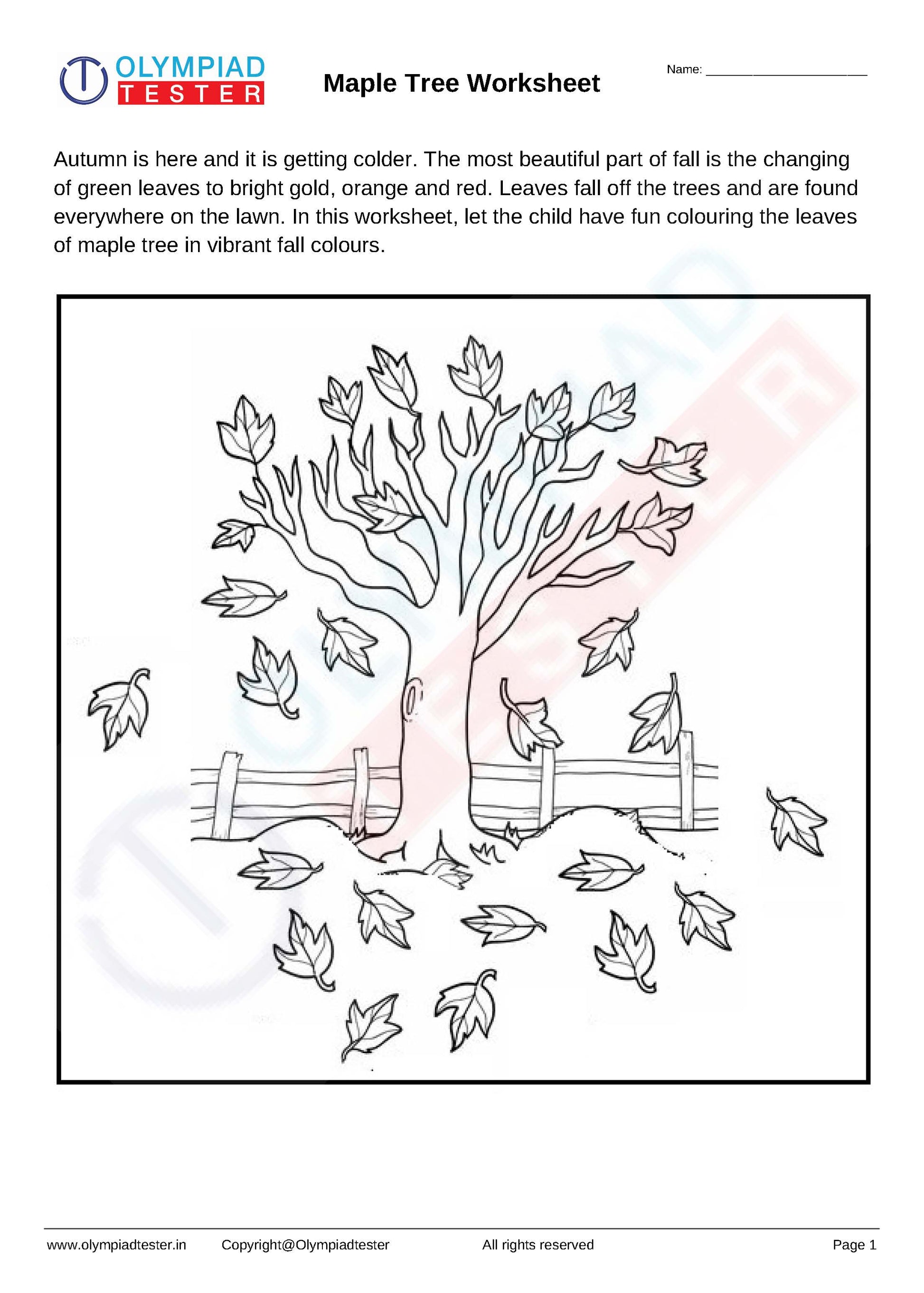 Kindergarten EVS - PDF Worksheet 15