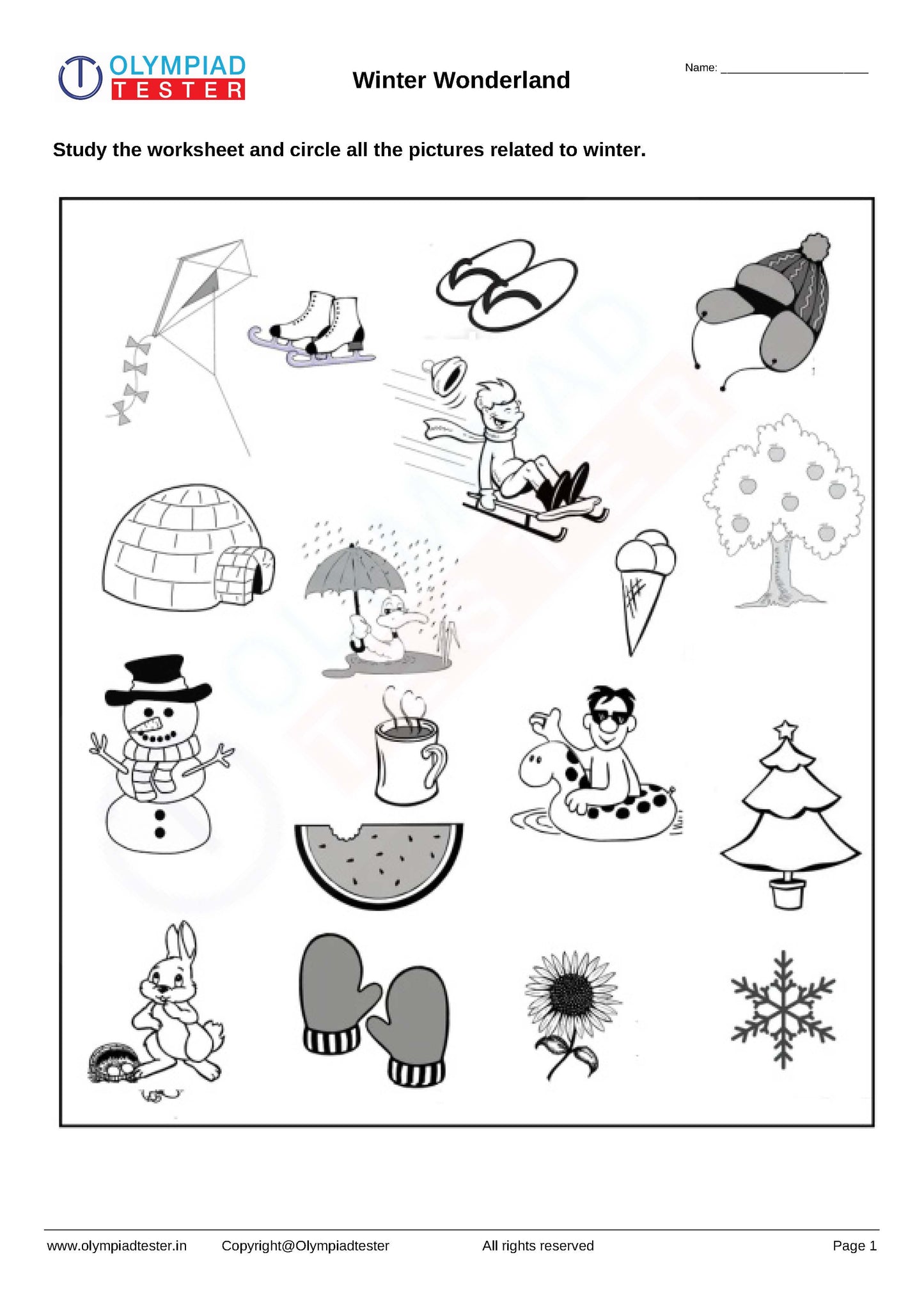 Kindergarten EVS - PDF Worksheet 18
