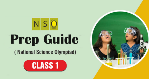 Class 1 NSO Guide: Achieve a top rank with Olympiadtester