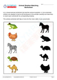 Kindergarten Logical Reasoning - 250 Printable Worksheets