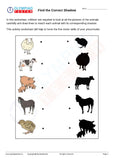 Kindergarten Logical Reasoning - PDF Worksheet 11