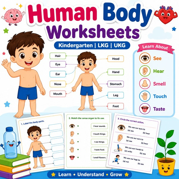 Kindergarten human body worksheets for LKG and UKG kids learning body parts and sense organs.