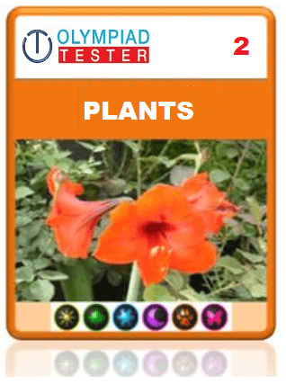 OLYMPIADTESTER CERTIFIED STUDENT EXAM (OCS) - CLASS 2 SCIENCE - PLANTS - Olympiadtester