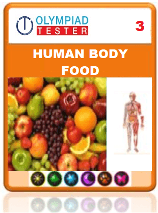 OLYMPIADTESTER CERTIFIED STUDENT EXAM (OCS) - CLASS 3 SCIENCE - HUMAN BODY AND FOOD - Olympiadtester