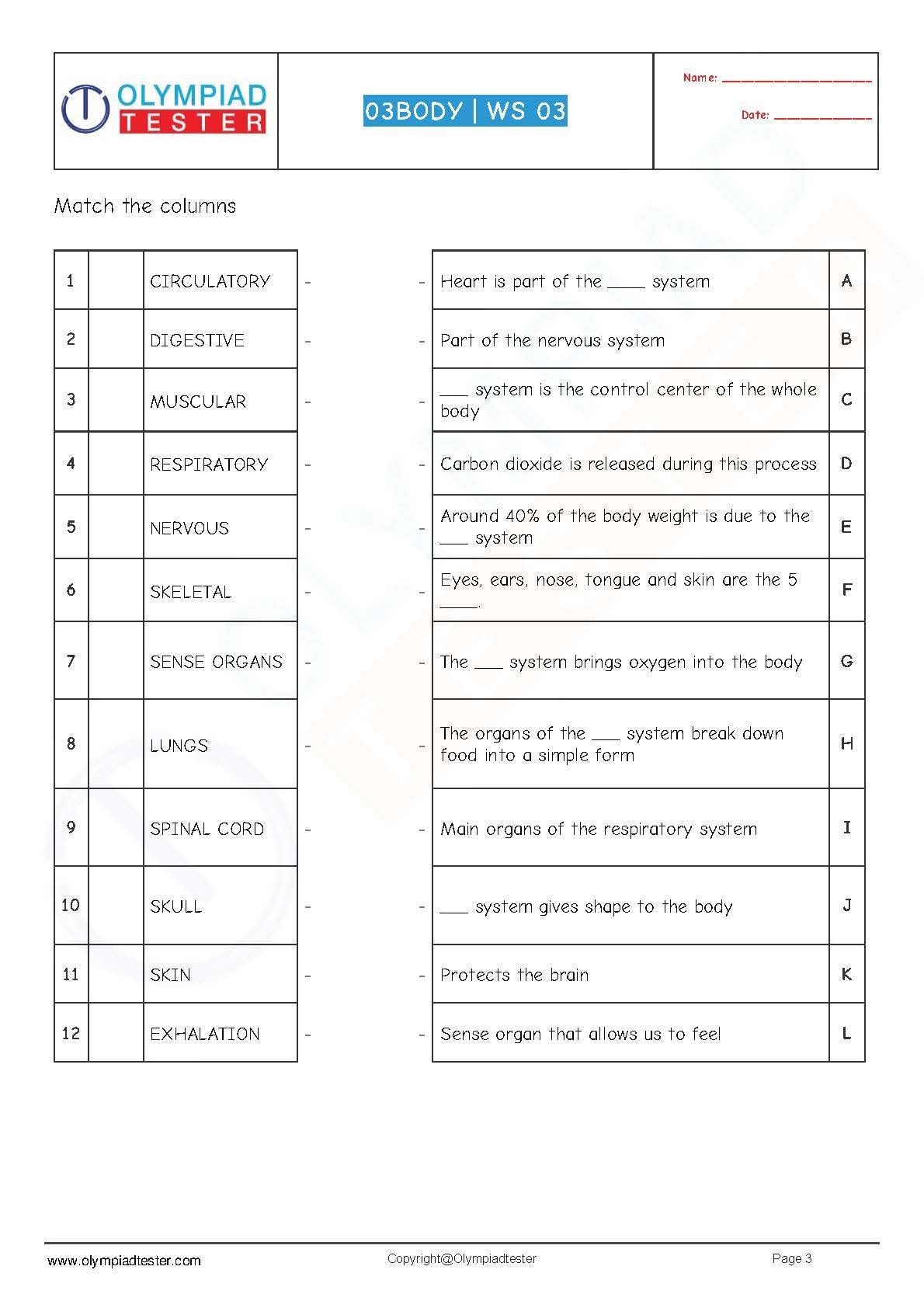 Class 3 Science worksheets pdf