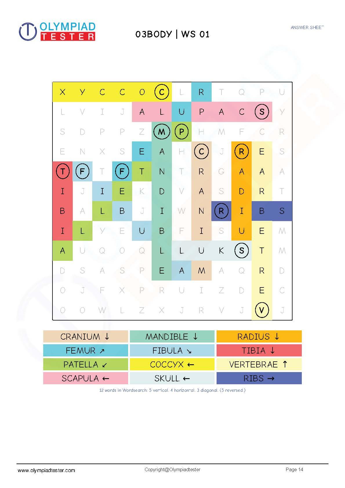 Class 3 Science worksheets pdf