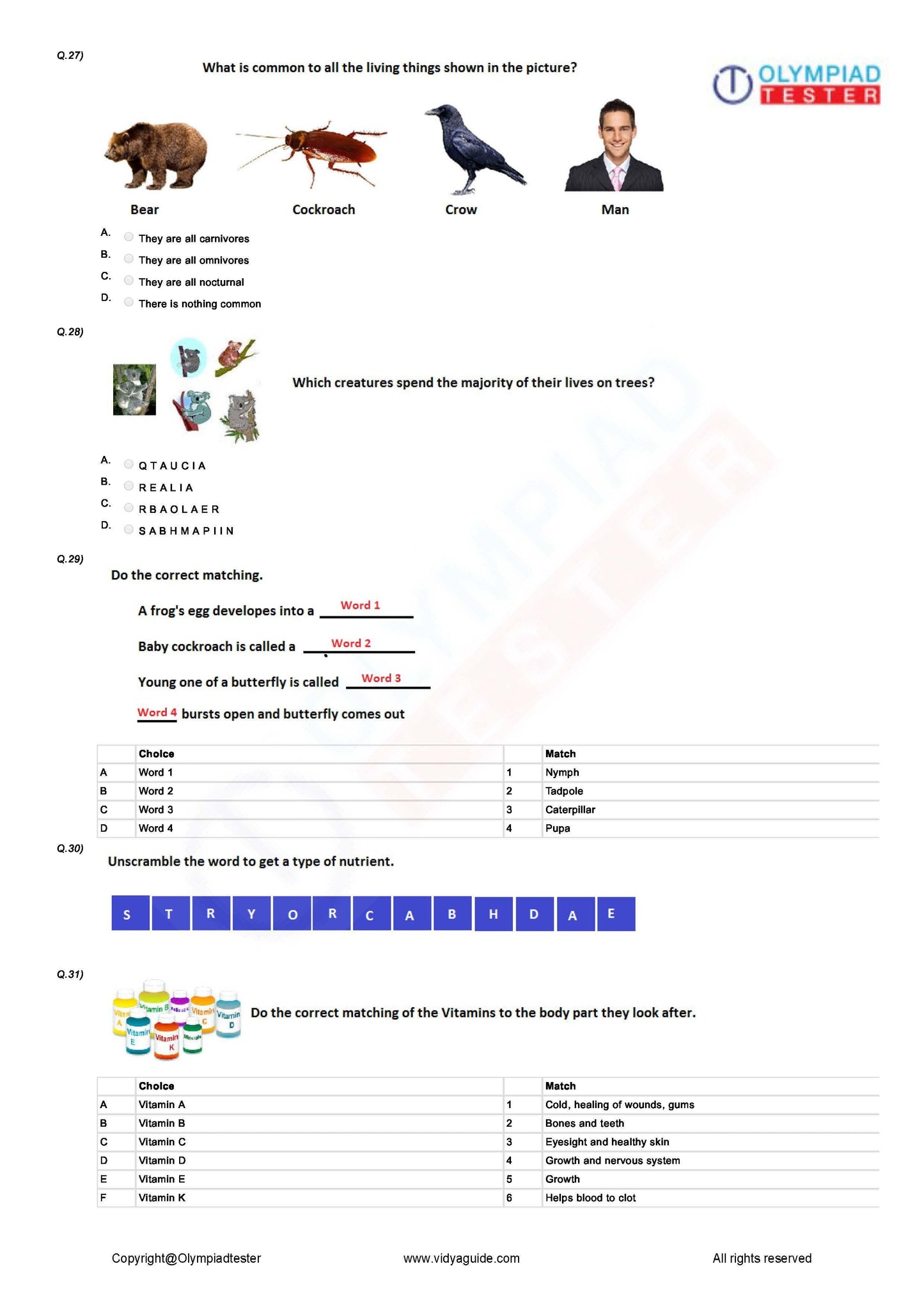 Class 4 Science Olympiad question papers - Course - Olympiadtester