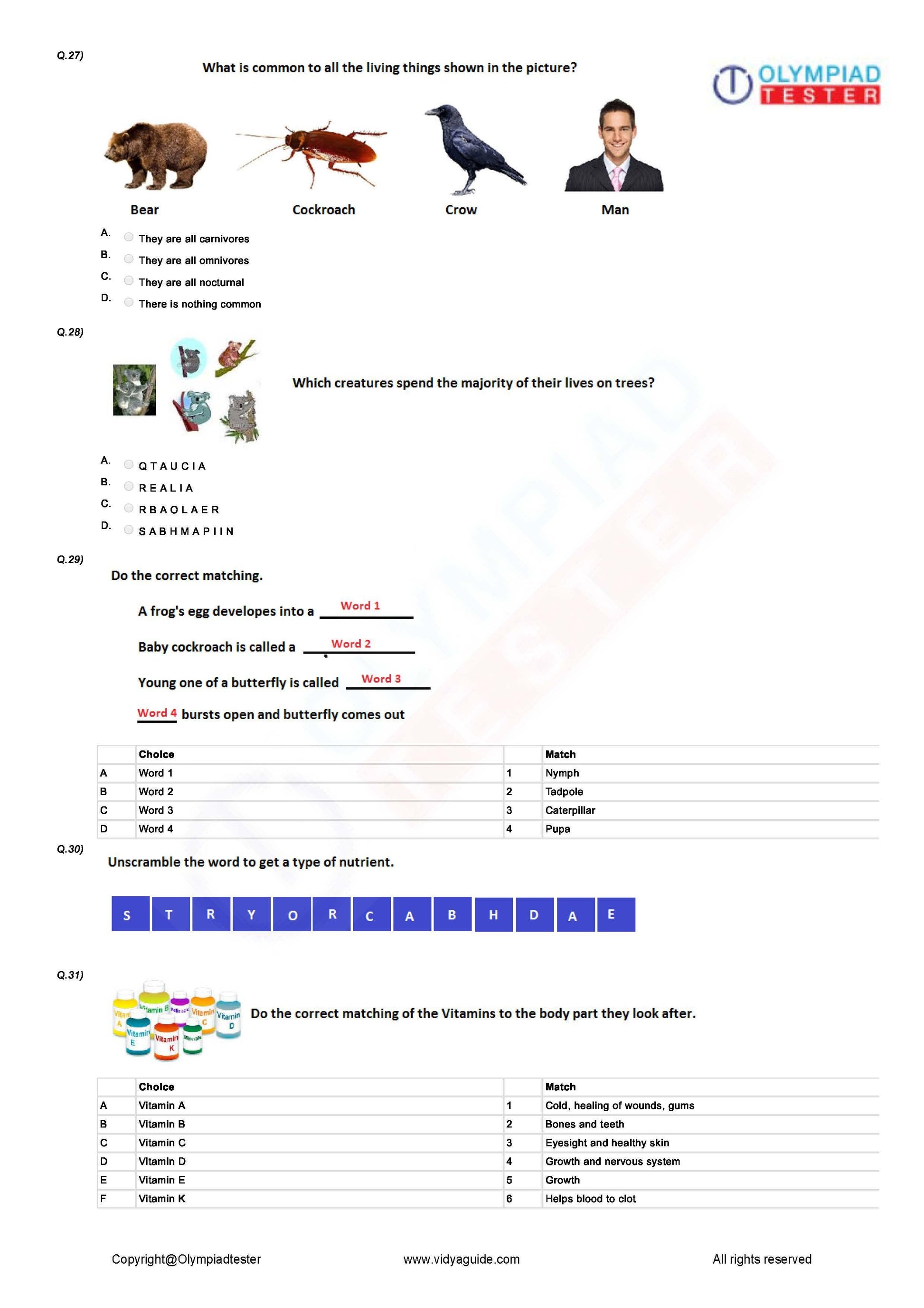 Class 4 Science Olympiad question papers - Course - Olympiadtester