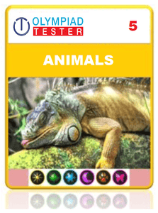 OLYMPIADTESTER CERTIFIED STUDENT EXAM (OCS) - CLASS 5 SCIENCE - ANIMALS - Olympiadtester