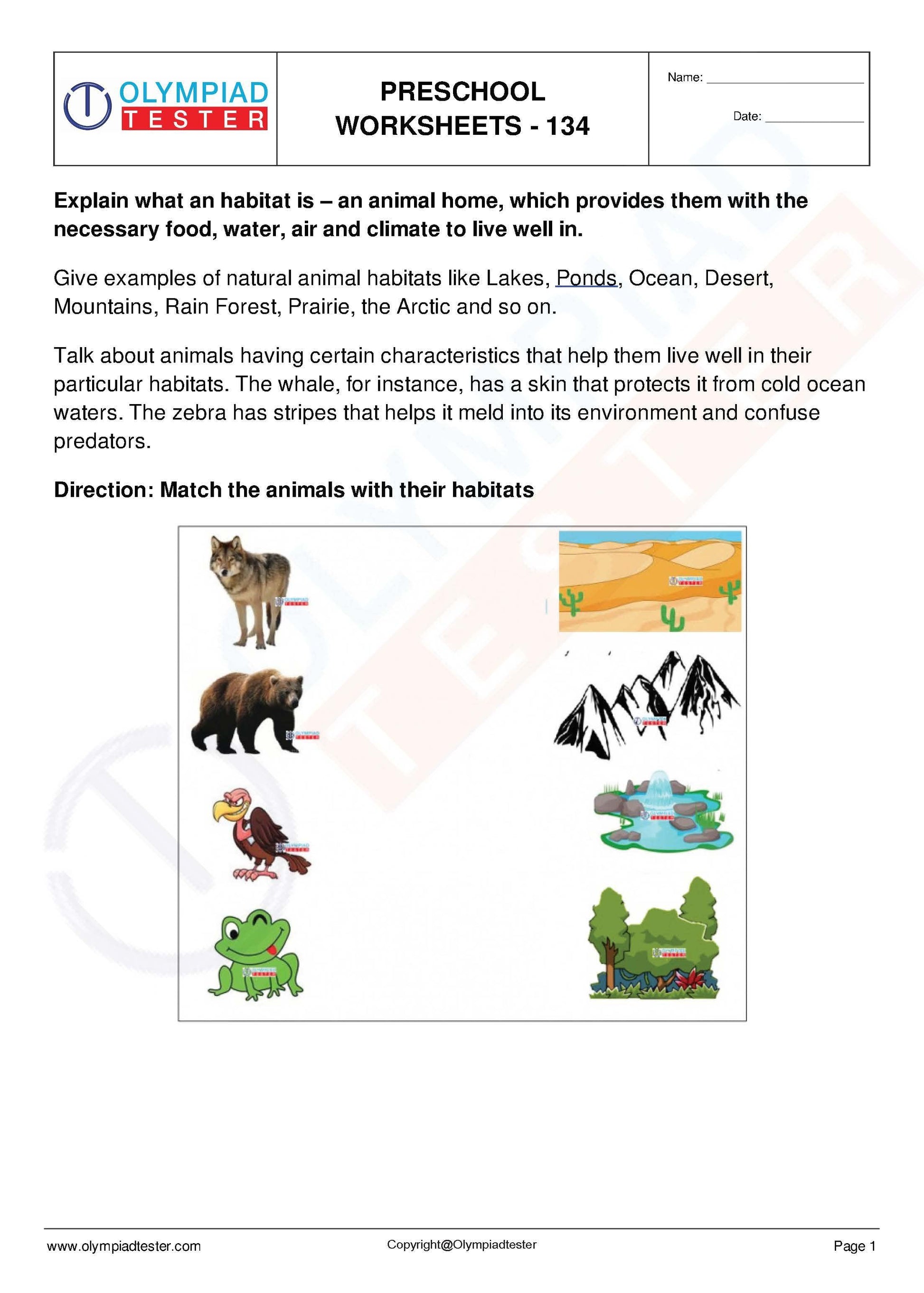 450+ Printable Kindergarten Worksheets PDF - Instant Download - Olympiad tester