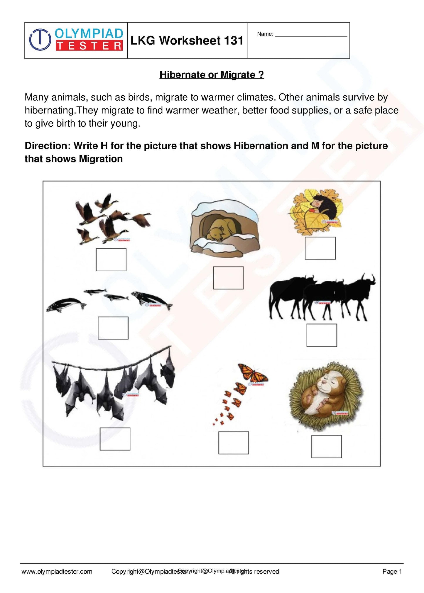 450+ Printable Kindergarten Worksheets PDF - Instant Download - Olympiad tester