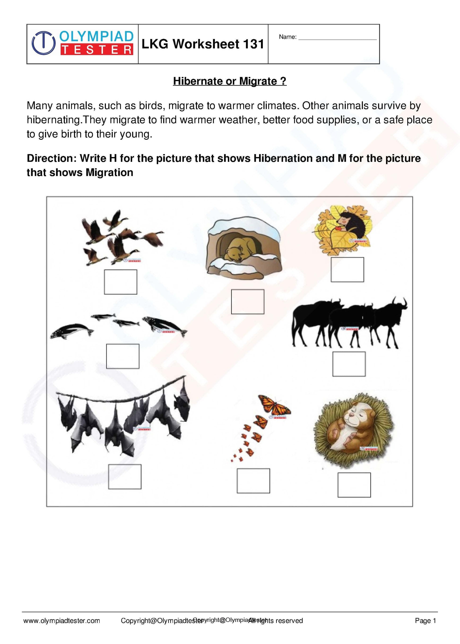 450+ Printable Kindergarten Worksheets PDF - Instant Download - Olympiad tester
