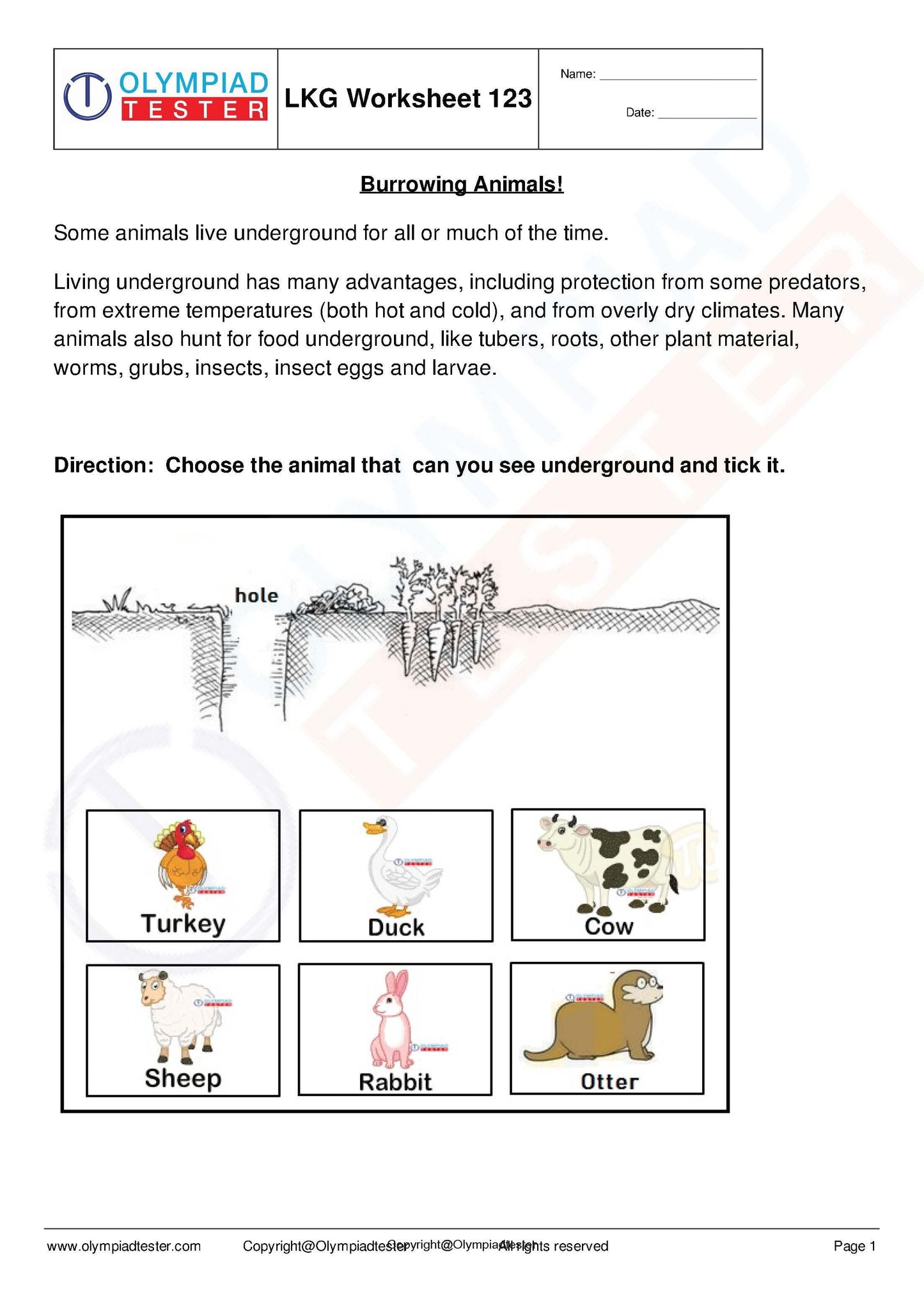 450+ Printable Kindergarten Worksheets PDF - Instant Download - Olympiad tester