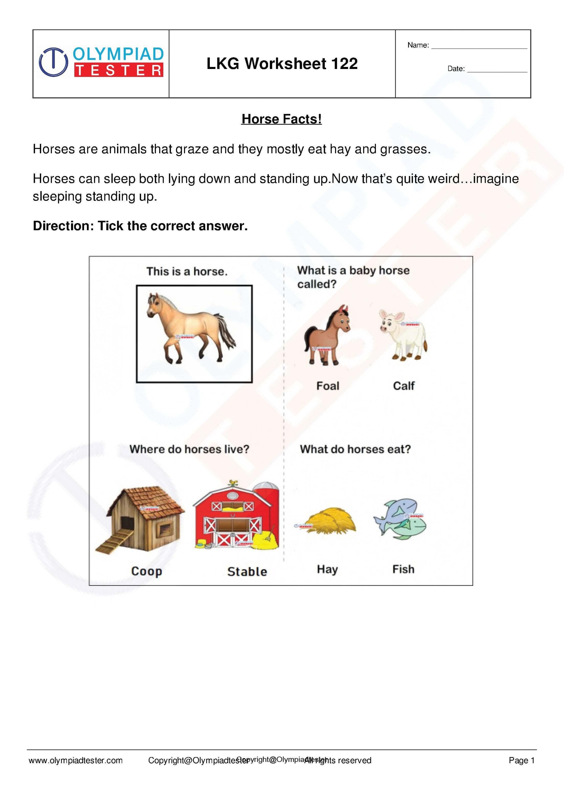 450+ Printable Kindergarten Worksheets PDF - Instant Download - Olympiad tester